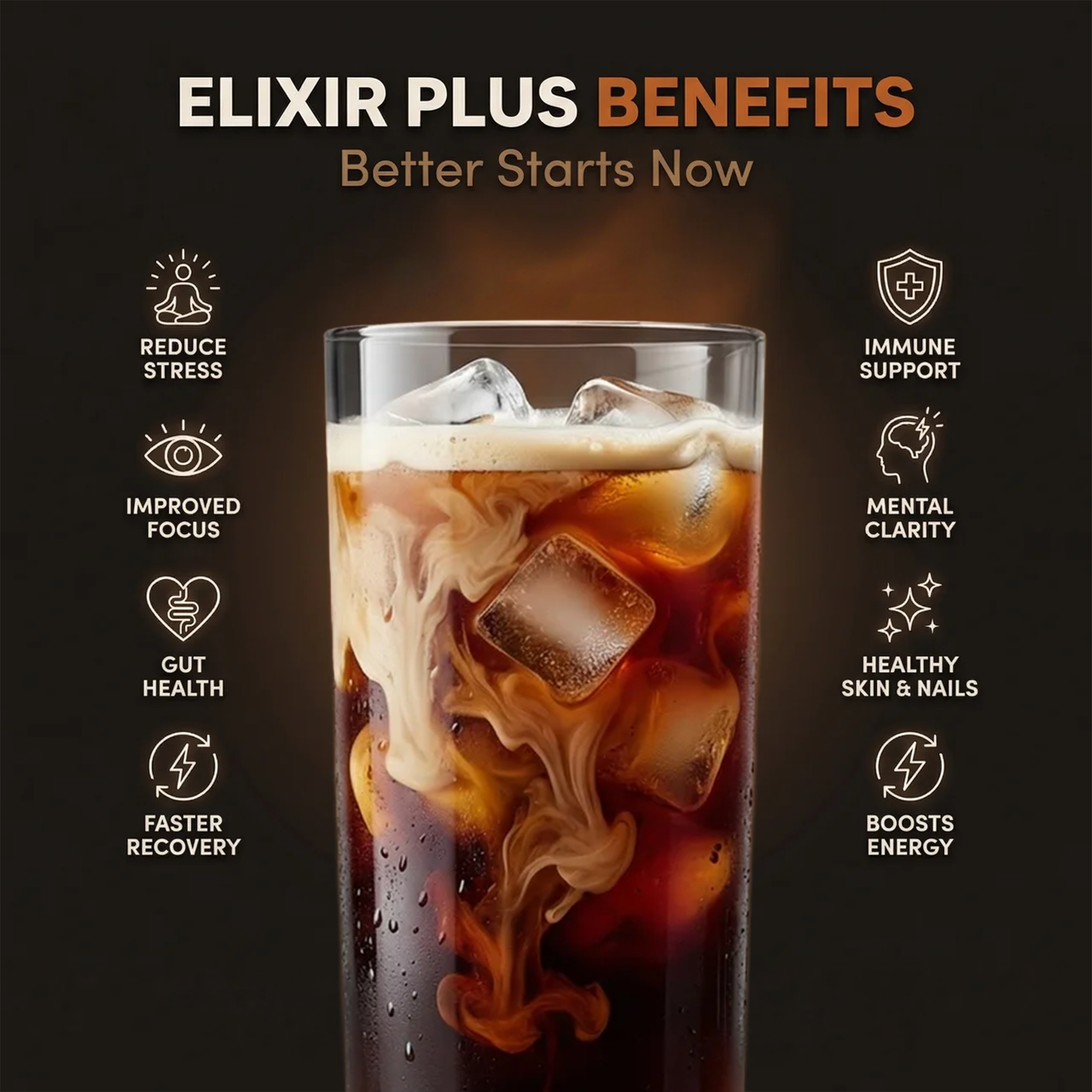 Organic Mushroom Elixir Extract Bundle