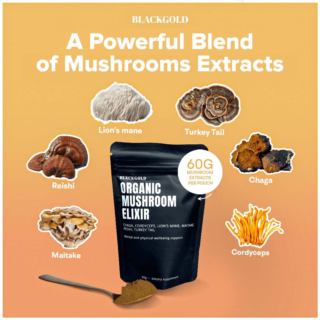 Mushroom Elixir (60g)